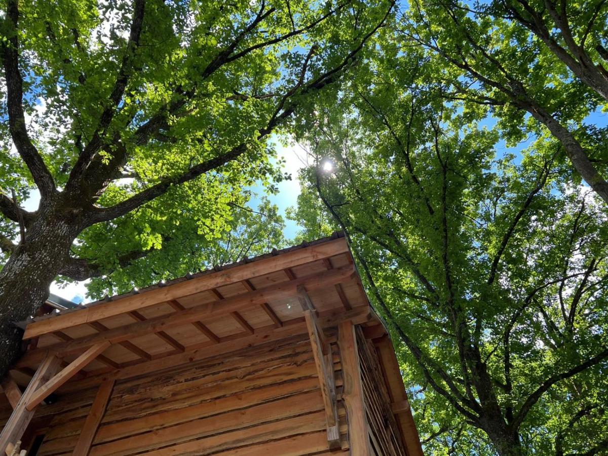 Charmante Cabane Dans Les Arbres Avec Jacuzzi Et Sauna Boismorand Zewnętrze zdjęcie