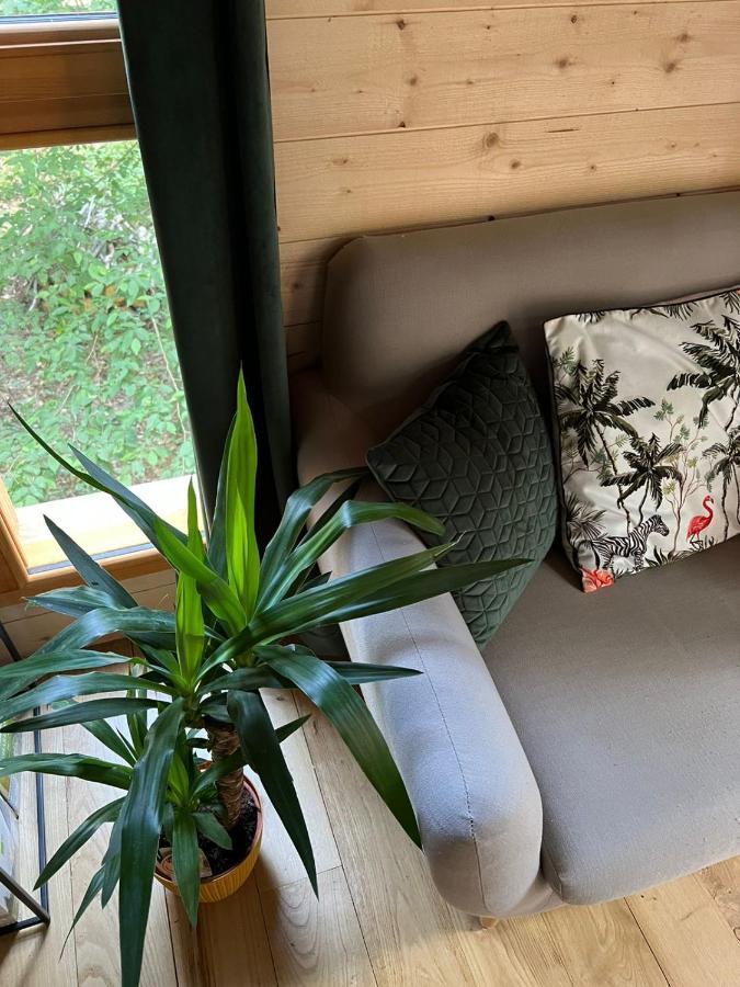 Charmante Cabane Dans Les Arbres Avec Jacuzzi Et Sauna Boismorand Zewnętrze zdjęcie